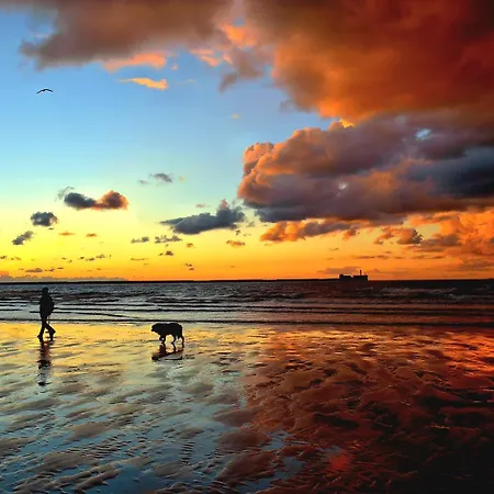 La Bergeronnette Maison105 M2 3