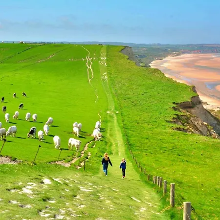 La Bergeronnette Maison105 M2 3 Bellebrune