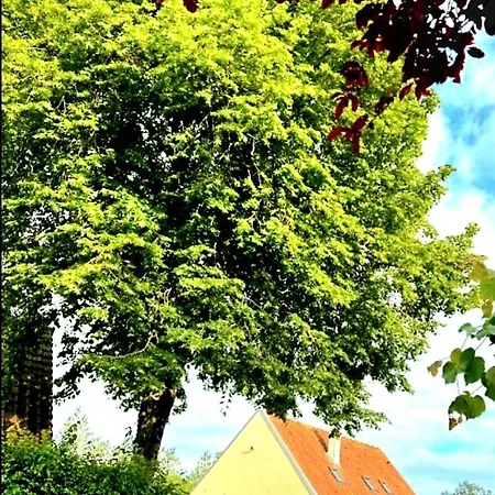 La Bergeronnette Maison105 M2 3 Σπίτι διακοπών Bellebrune